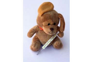 IBD Inflammatory Bowel Diseasa