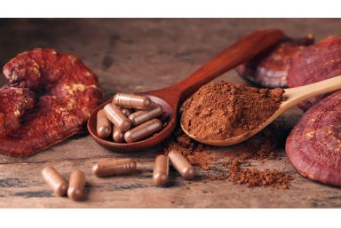 Mykotherapie - Tiere heilen mit Vitalpilzen
