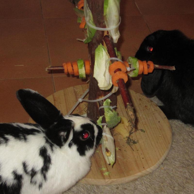 Conejitos con arbol de navidad de verdura